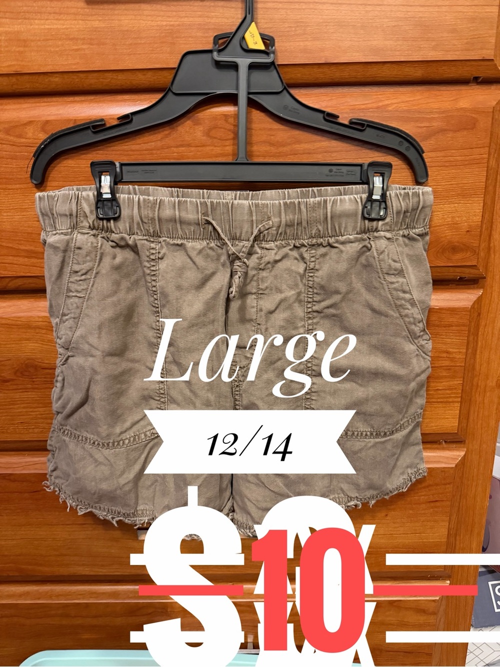 Time and Tru Taupe Drawstring Casual Shorts - Large